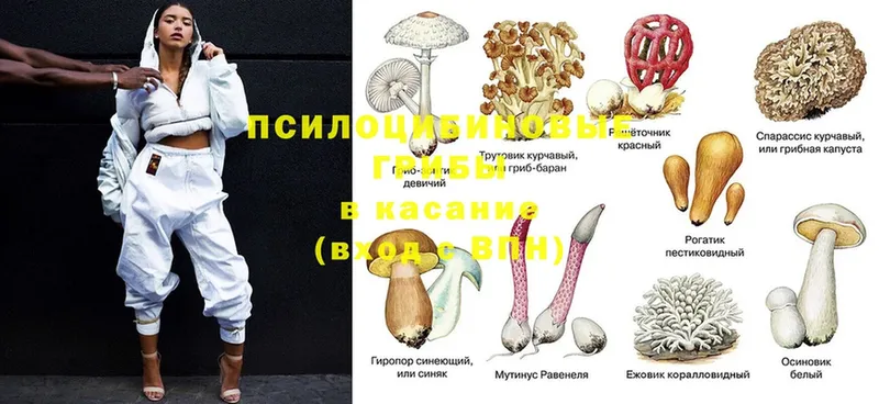 Псилоцибиновые грибы ЛСД  Нарткала 